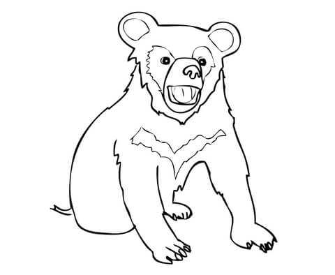 Asia Black Bear Cub Coloring Page